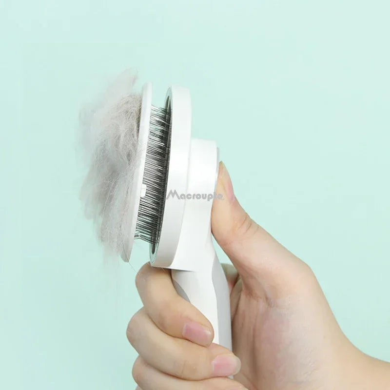 Brosse autonettoyante anti-mue