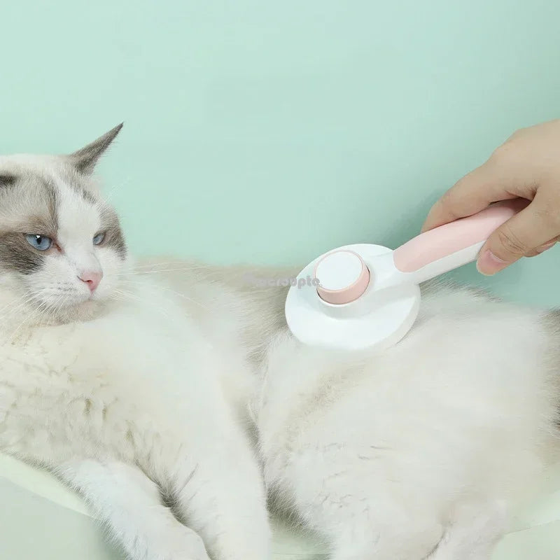 Brosse autonettoyante anti-mue