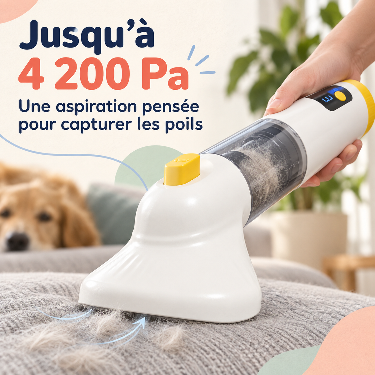 Aspirateur à poils de chien et chat — compact et léger